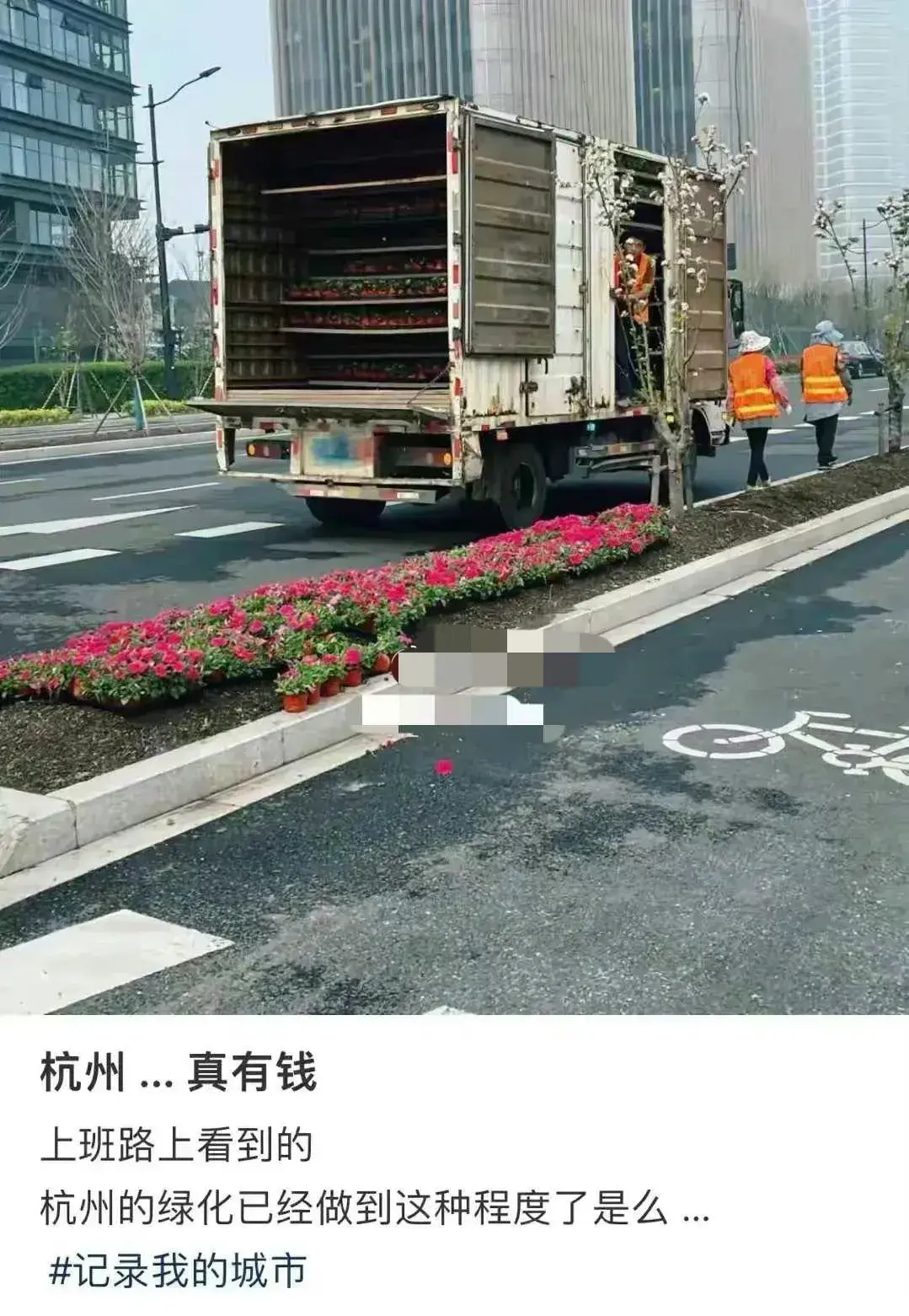 杭州绿化已经做到这种程度了吗？