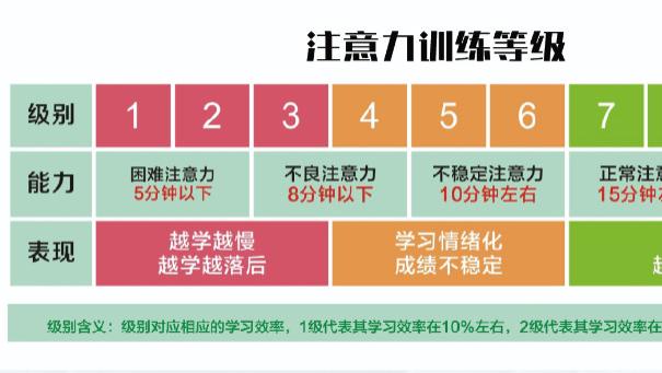 专注力：教育成功的基石