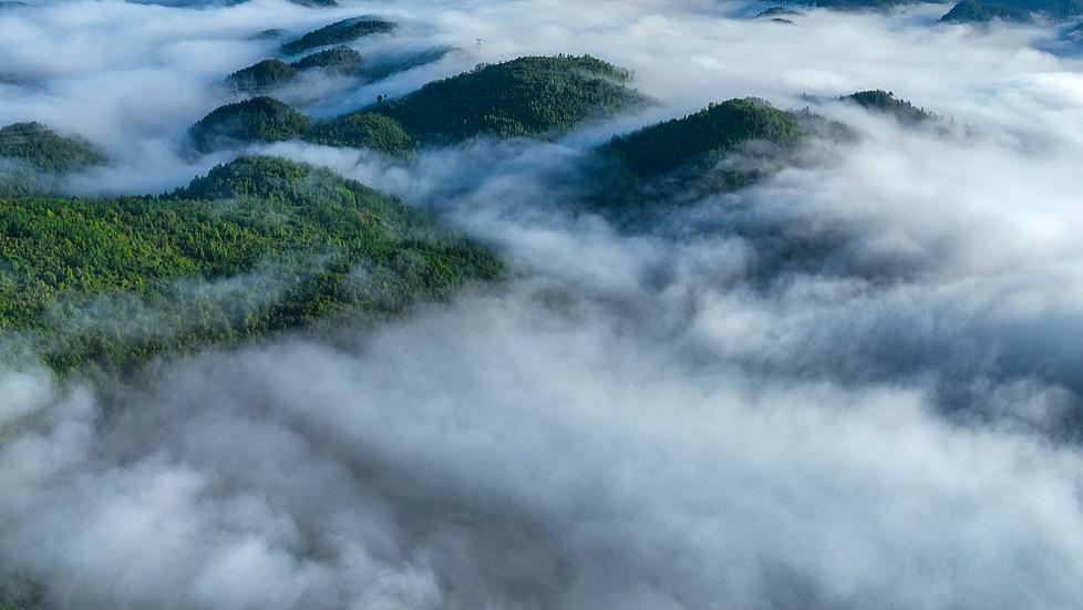 静静的生活，真好