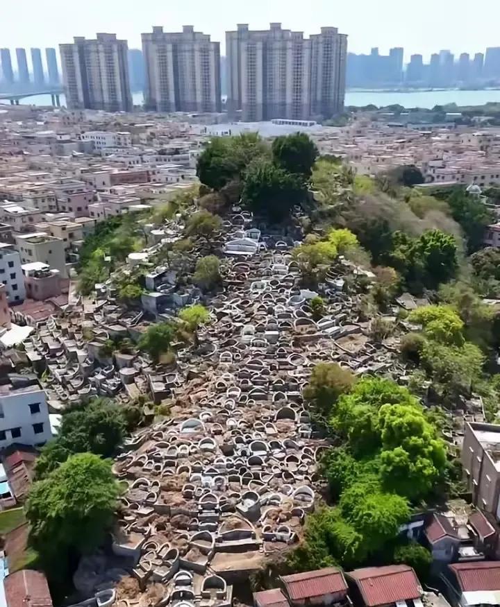 一张让人不寒而栗的照片。人口越来越多，可做墓地的地方越来越少。不是危险耸听，如果