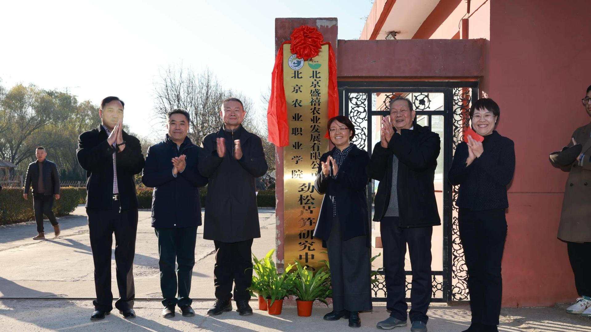 “劲松芦笋研究中心”挂牌成立