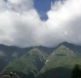 十年前几个驴友一起去云南大理苍山，我们摸了一个好看的蘑菇以后，爬苍山迷路，原本我