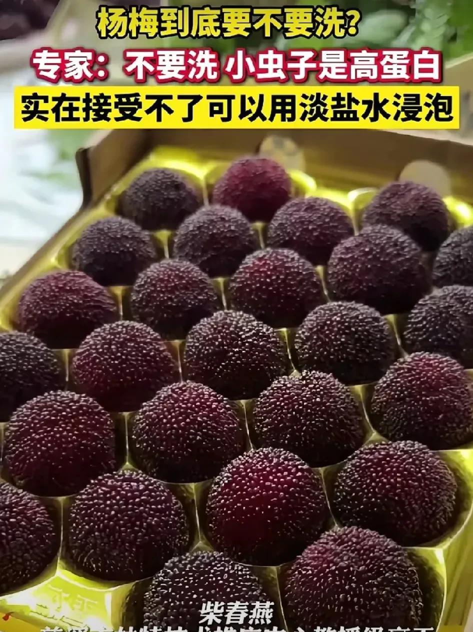 杨梅洗过了吃，还真的不如不吃。
杨梅是一种很“娇贵”的水果，由于杨梅没有果皮，不