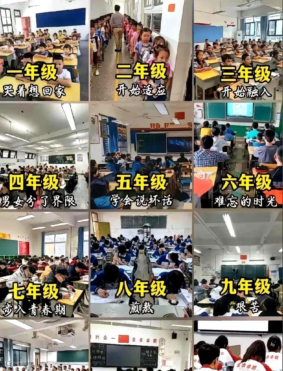 突然接到通知，现在中小学变化真不小！
昨天在小区遛弯碰见邻居李姐，她家娃在重点初