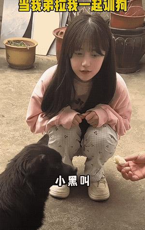 大家有没有发现，粉色的明显比黑色的聪明，粉色更通人性！[捂脸]