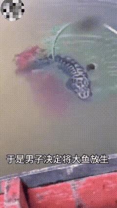 积善之家必有余庆。男子用网兜捞上来一条大鱼，正在欣喜之间，看到网兜外面黑压压一片