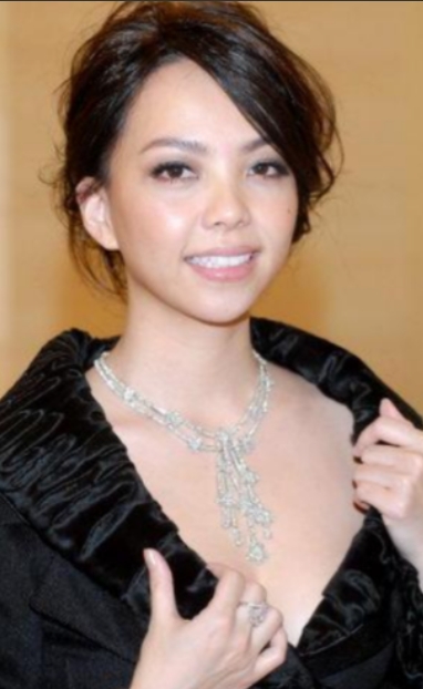 2010年，37岁的张惠妹遇到了31岁的酒吧调酒师，彼此一见钟情，为了给他一个大