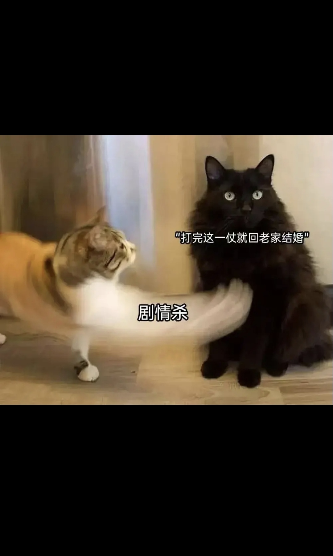 这是剧情杀吧