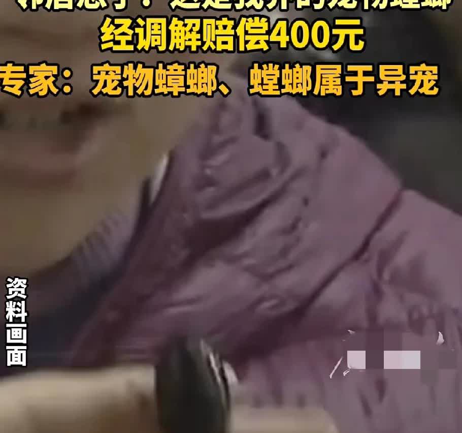 我问一个宠物店朋友，
男子干掉一只蟑螂宠物赔了邻居400，这事你怎么看？他一句