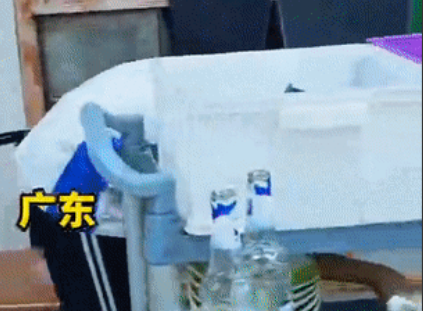 家庭劳动与“童工”红线：界限模糊下的思考