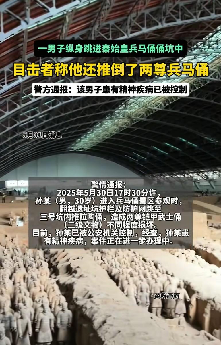 一男子掉进兵马俑3号坑，陶佣被砸坏，该男子患有精神疾病已被控制，至少两个兵马俑被