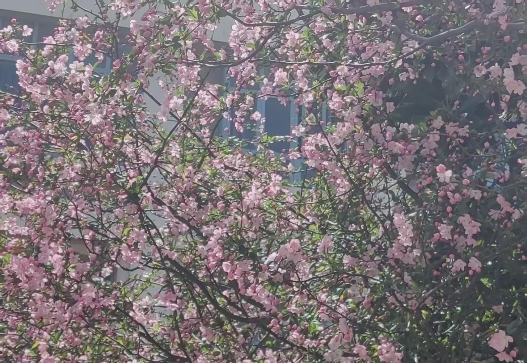 今年参加了几所重点大学的春季招聘会，企业招聘需求最大的依然是机械和自动化类专业，