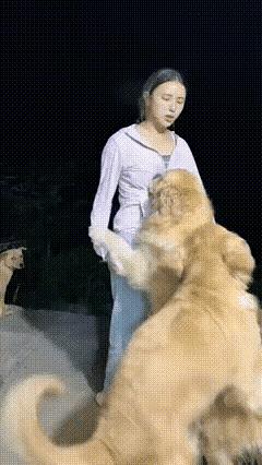 狗狗能有什么坏心思，它就是饿了。