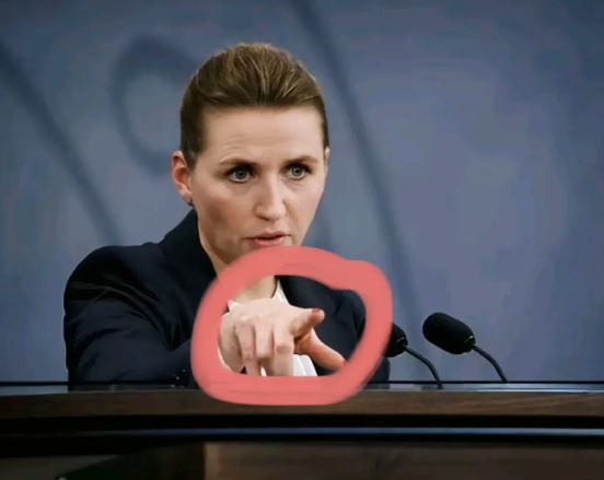 梅特．弗雷德里克森终于忍不住发飙了！率先支持乌克兰加入欧盟并派遣部队的丹麦首相梅