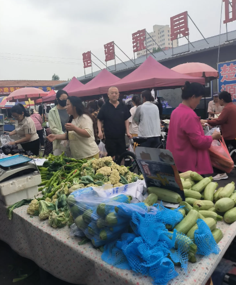 我们所在的县城，自从6月1日起推行了禁酒令以来，市场上发生了很大的变化