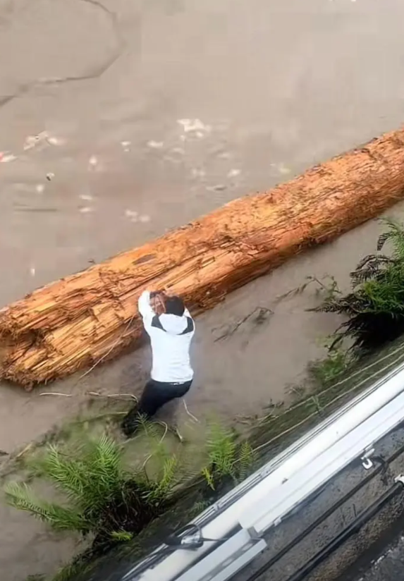 怒江沿岸的云南人捡柴有多拼？垂绳下江捡水中巨木！当地：不允许捡，已有专人劝阻
5