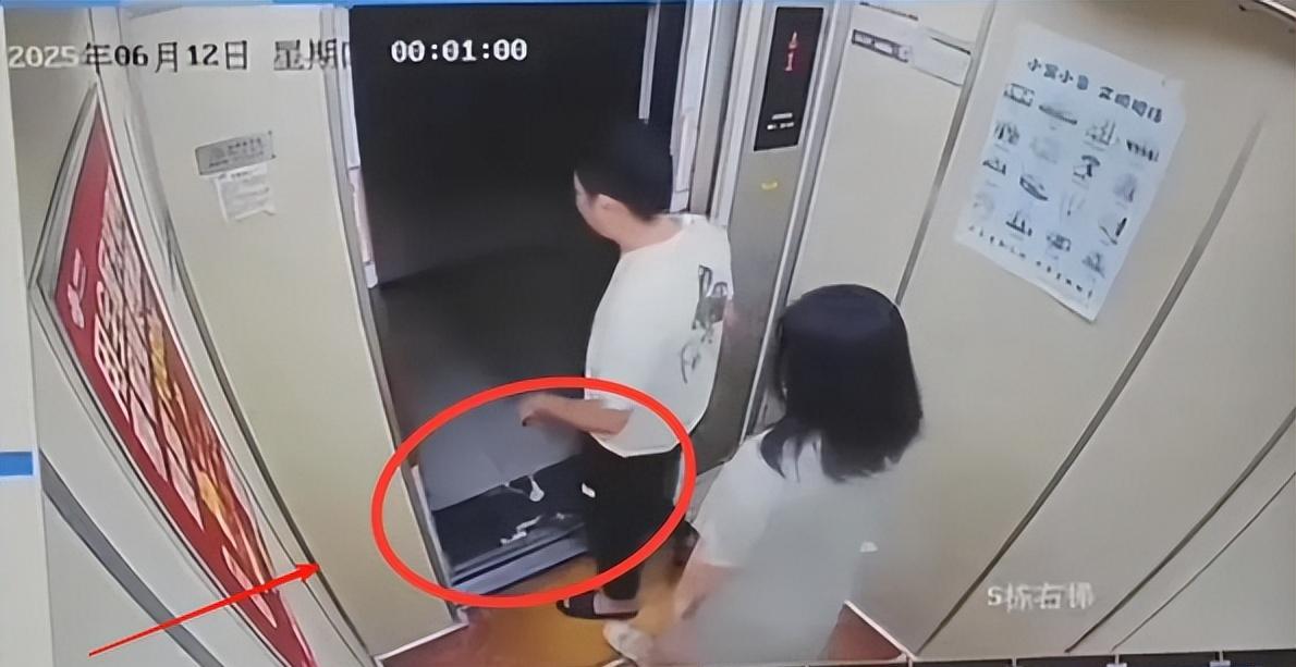 ·“电梯里哪来的毒蛇！”重庆女子乘电梯遭毒蛇咬伤，脚踝瞬间发黑流血，丈夫这三个举
