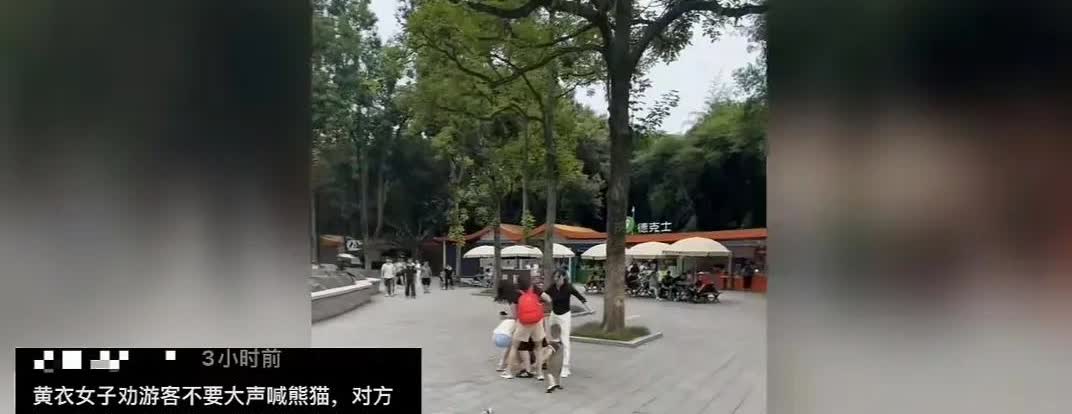 以后还是不要多管闲事，免得被打！

一名女子制止别人大声呼喊熊猫的名字，让他