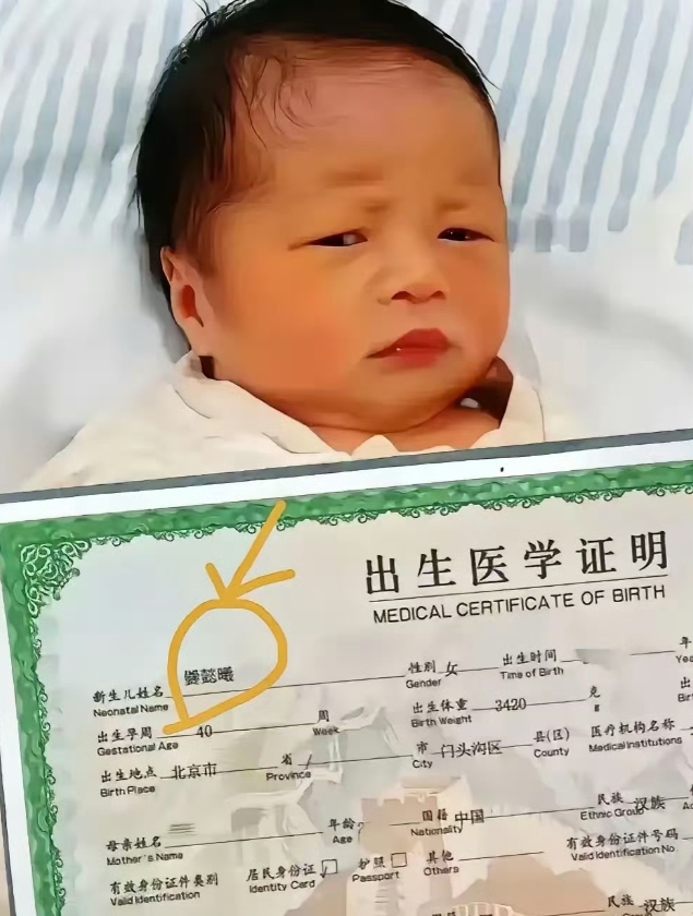 任性的父母，可怜的宝宝