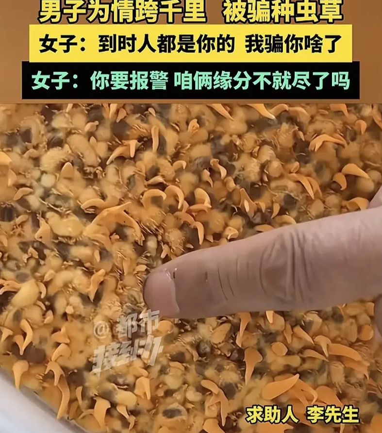 河南开封，男子跨越3000多公里，去见网恋女友，不料，女友给他一房子惊喜，说要一