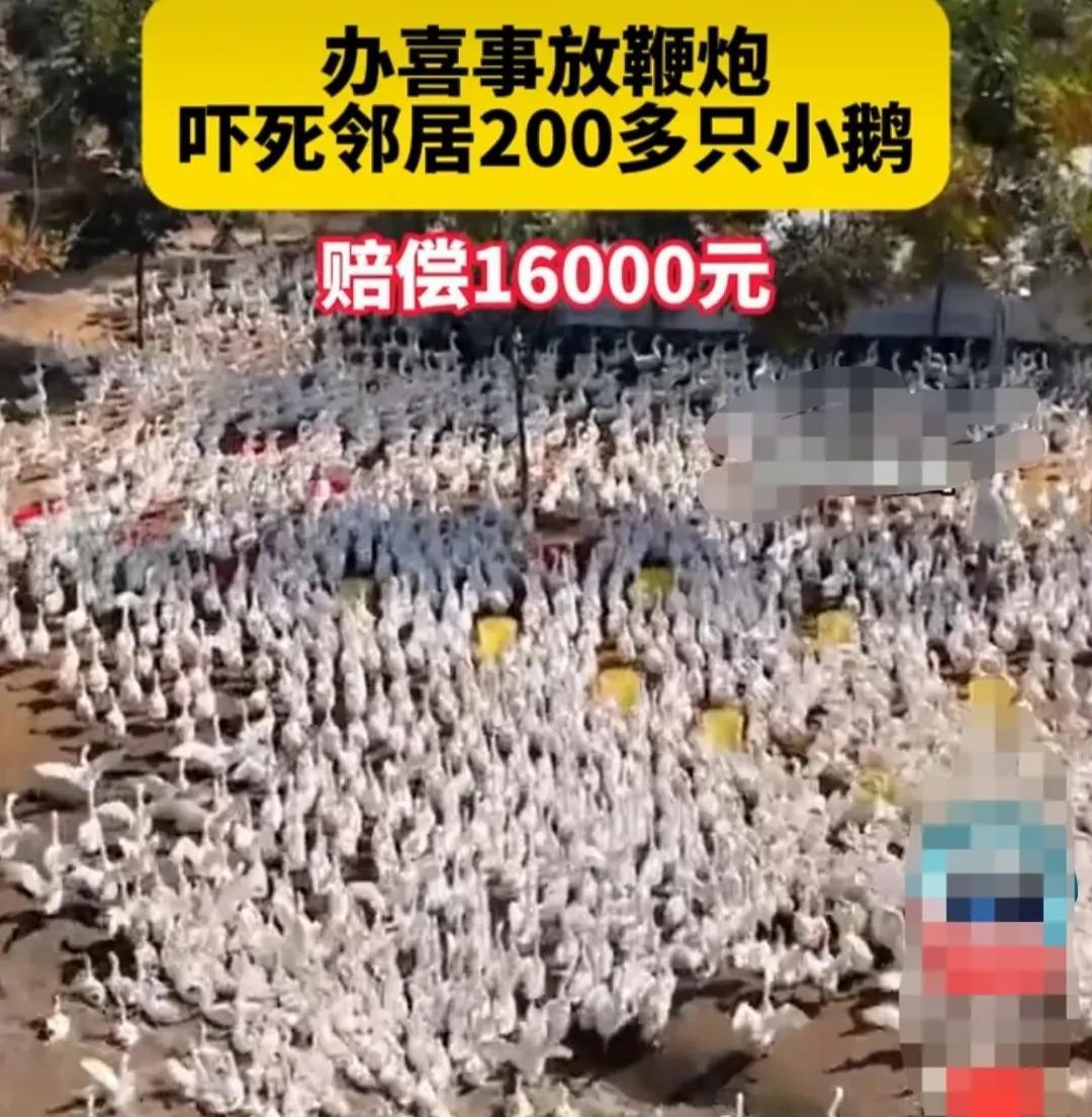 江苏连云港，一户人家办喜事，为了增加喜庆的气氛，迎接新娘和宾客的时候，燃放了大量