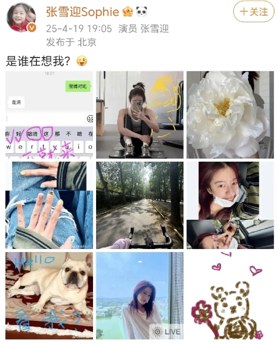张雪迎：是谁在想我？
 4月19日晚，张雪迎在社交平台晒出了微信聊天记录、风景照