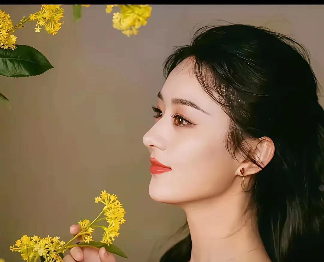 #赵丽颖的角色塑造力有多强#
我觉得《与凤行》这部剧，如果不是赵丽颖来演，其它任