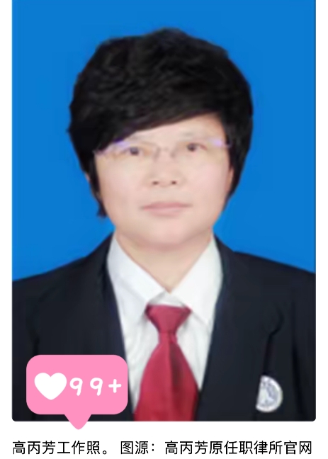 相信这最冤的律师了

高丙芳律师为农民工出庭辩护，讨要工钱，把自己弄监狱里了，获
