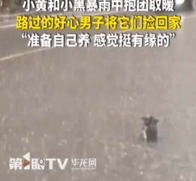 泪目！

湖北恩施，男子开车回家时，突降暴雨！

刚开了1分钟，就发现路