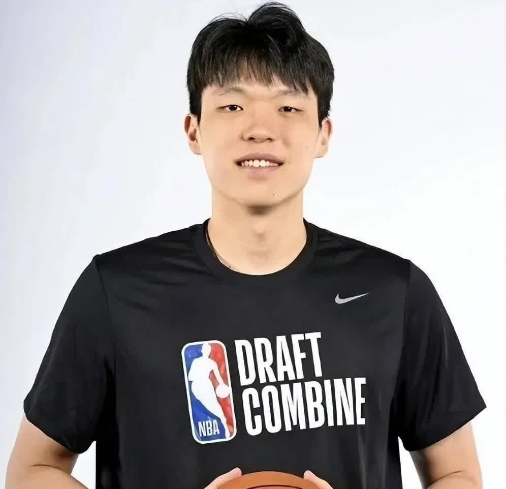 预测杨瀚森NBA上限概率如下:

1.王治郅    100%

2.易建