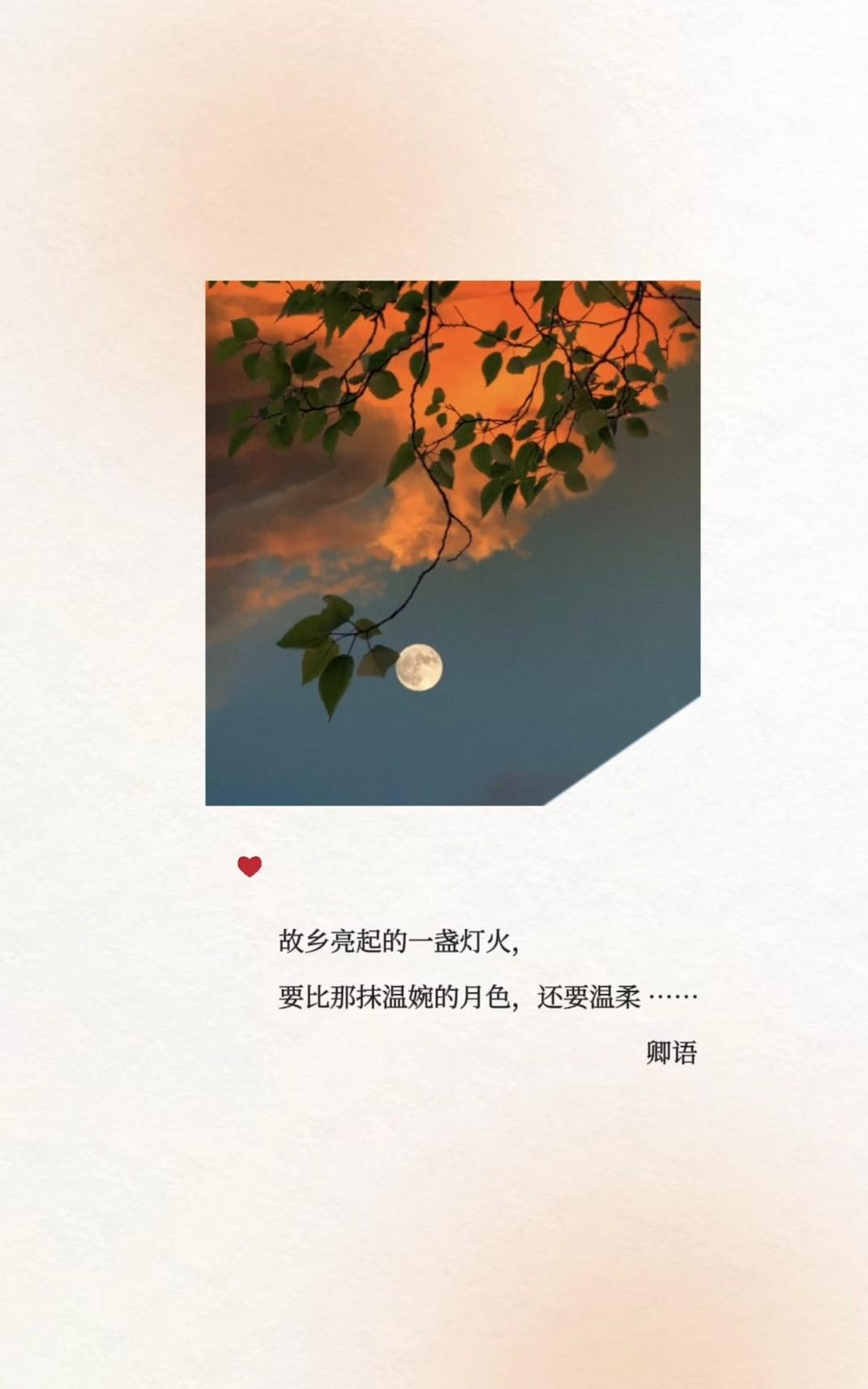 梧桐叶落，稀疏了枝头，
秋风再起，拂过了衣袖，
我们就跋山涉水，
去奔一份遥远的