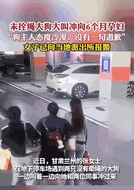 “必须严惩！”8月21日，甘肃兰州，三名女子去停车场开车，突然，2只没有栓绳的大