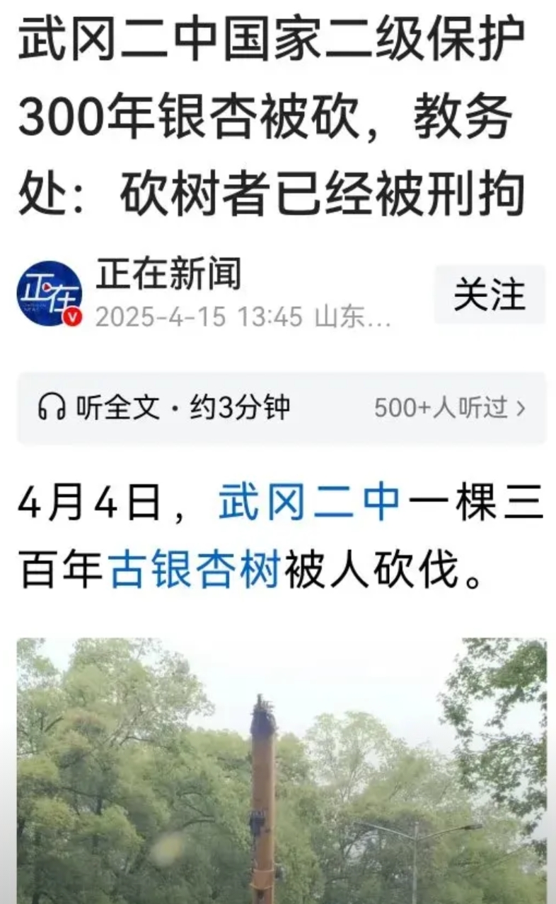有没有内外勾结出了事迅速切割的可能。三名犯罪分子光天化日、明目张胆开着大吊车进武