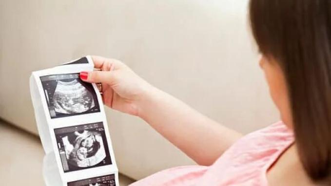 怀孕期间，宝宝发育会经历的三个关键阶段！！！孕妈妈营养可不能落下！