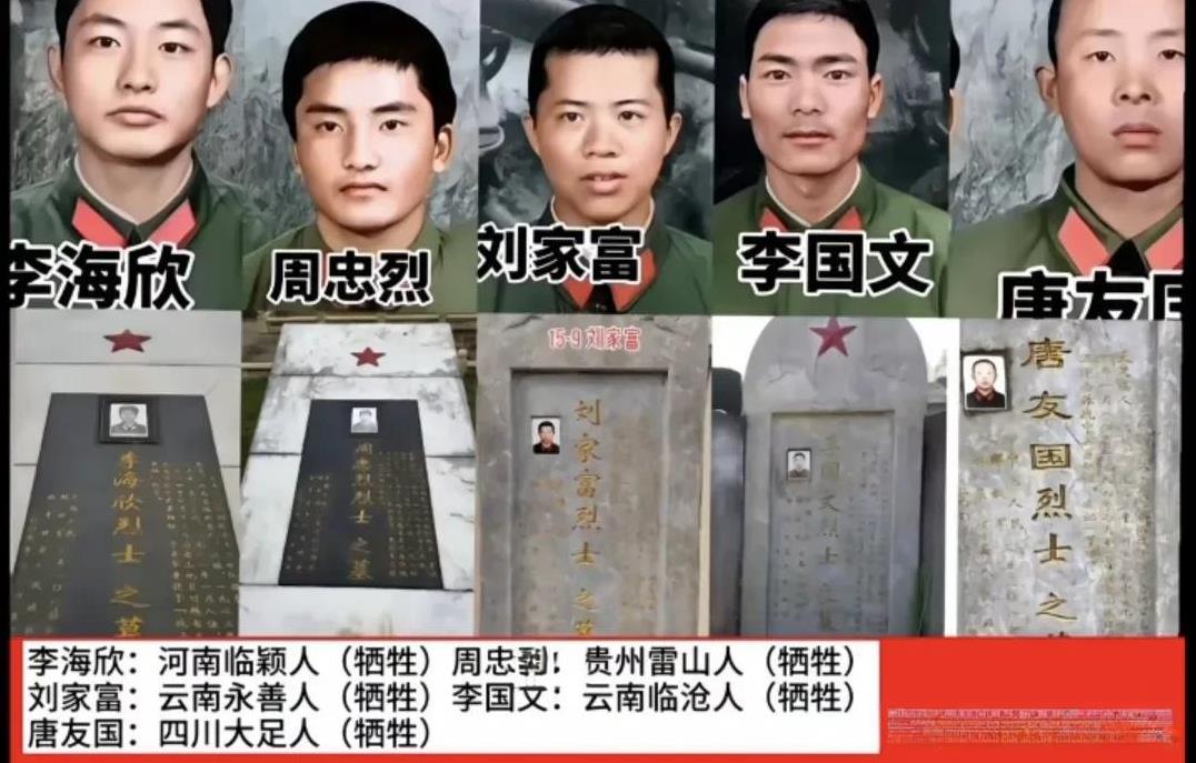 图片中是在对越自卫反击战