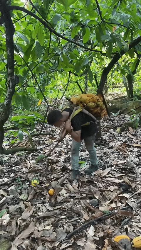 这哥们是螳螂转世[大笑]