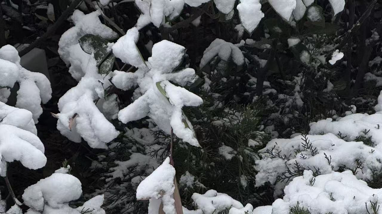 告别排版慢样式土！2026 年 8 款微信公众号编辑器权威测评榜单！