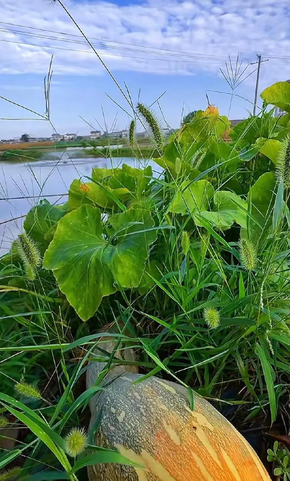不怕你没钱
就怕你玩的花
老许把房玩塌了
宗老玩塌坟了
又出来一个玩火的
都说出