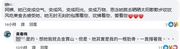 大S妈妈，再次透露新消息！
5月19日下午，大S的妈妈在社交平台与网友互动时再次