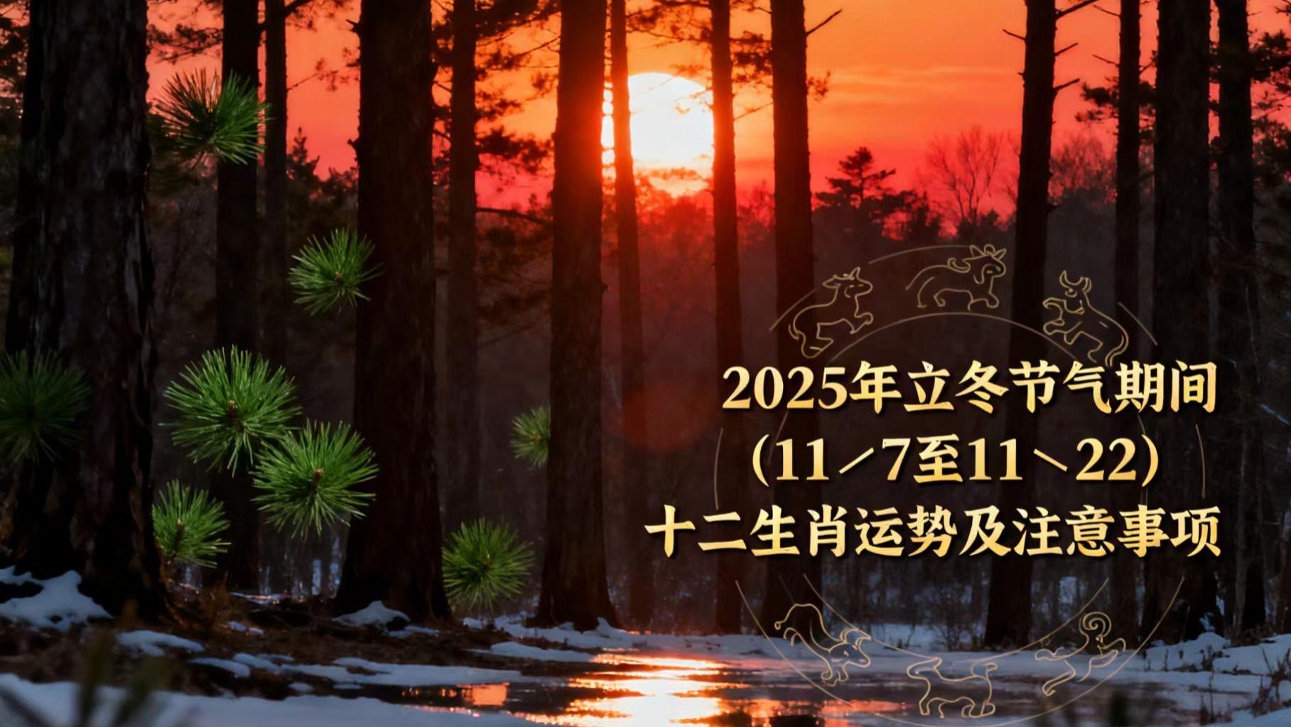 2025年立冬节气期间（11／7至11／22）十二生肖运势及注意事项