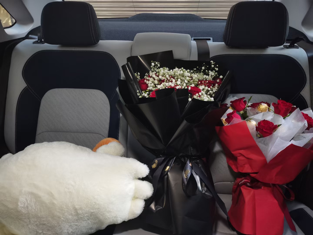 每天神经质
每天开车觉得有异响就担心车是不是哪里出了问题，擦到挡泥板也觉得蹭了车