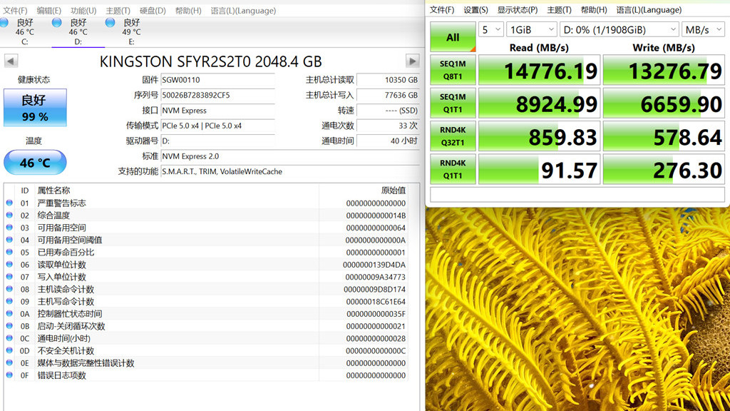 写入70T，速度如何？金士顿G5写入寿命测试开始！
