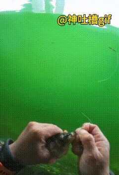 桥洞底下钓到“活鱼”？假的！
下一秒，鱼线那头冒出个活人。
他蹲洞里，拿透明线吊