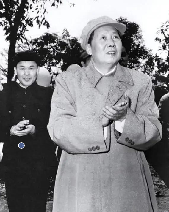 1967年4月，毛主席会见越南政府总理范文同，谈到了韦国清的问题，林彪、陈毅和叶