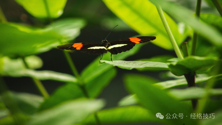 早上醒来口干口苦，这3个地方多按按，疏肝气、促生津