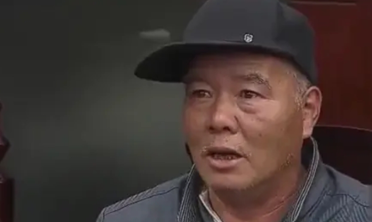 大风将树枝刮断，一位路人遭殃不幸被砸死，死者家属将树主人告上了法庭，要求对方赔偿