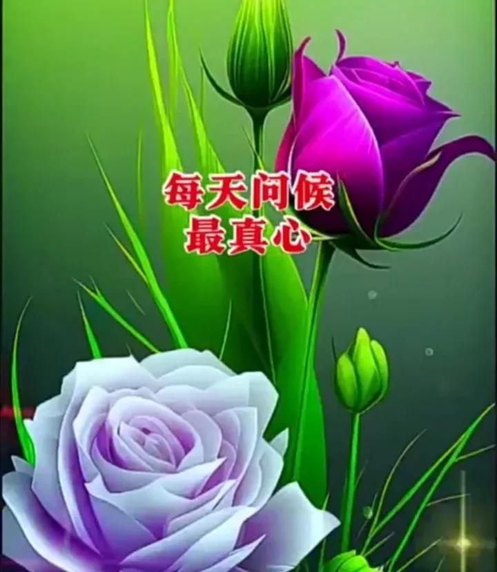 今日入伏，祝所有朋友吉祥安康！2025年7月20日《星期六》，农历乙巳年闰6月2