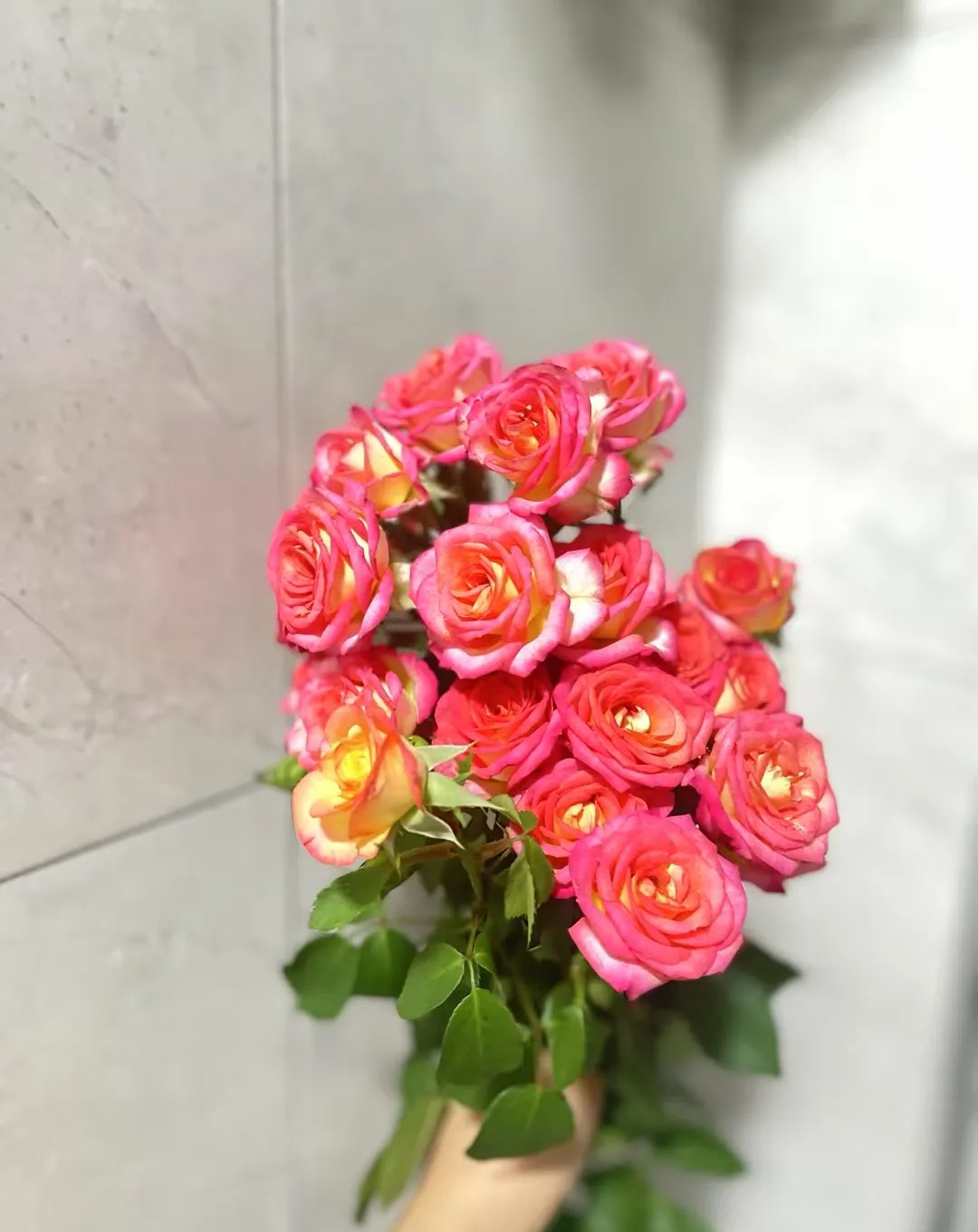 埃及大哥不行了，沙特买了点炮











说出来你可能不信，曾经的中东