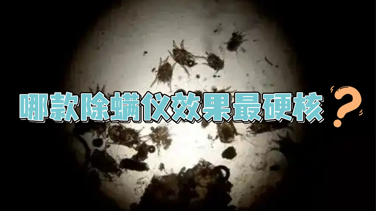 哪款除螨仪效果最硬核？2025年十大靠谱机型闭眼入！一篇搞定！