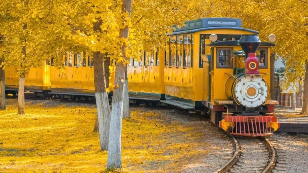 秋天去哪玩？团建好去处！公司团建不用愁~